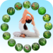 Dictionary of Alternative Medicine